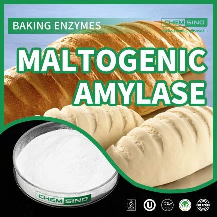 Maltogenic Amylase - L-aktar alleat ħelu tar-riċetta tiegħek!CAS NO. 9000-92-4