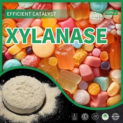 Jiżvelaw Il-Potenzjal Ta 'CAS 9025-57-4: Xylanase Fl-Fjen Tagħha!